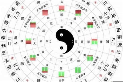 学算命|生辰八字算命、五行喜用神查询（免费测算）